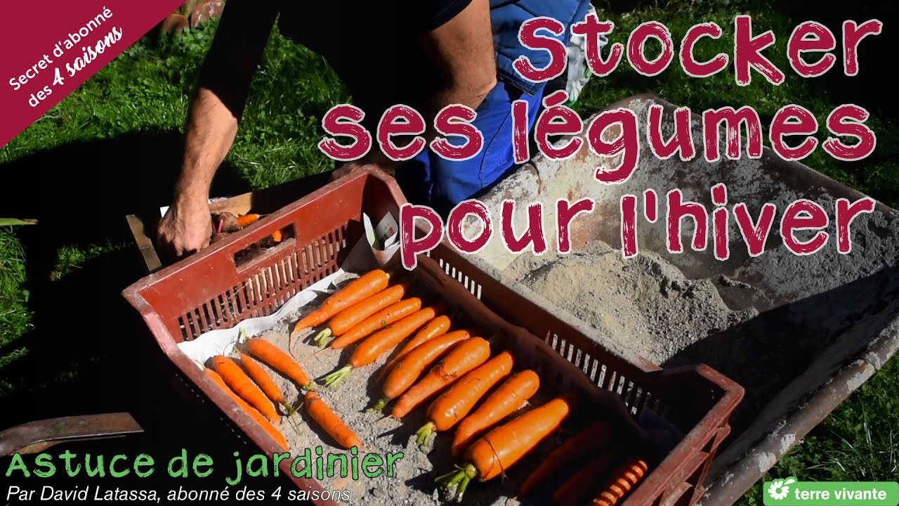 Astuce de jardinier. Stocker les légumes en silo pour l'hiver