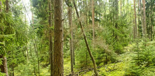 biodiversité