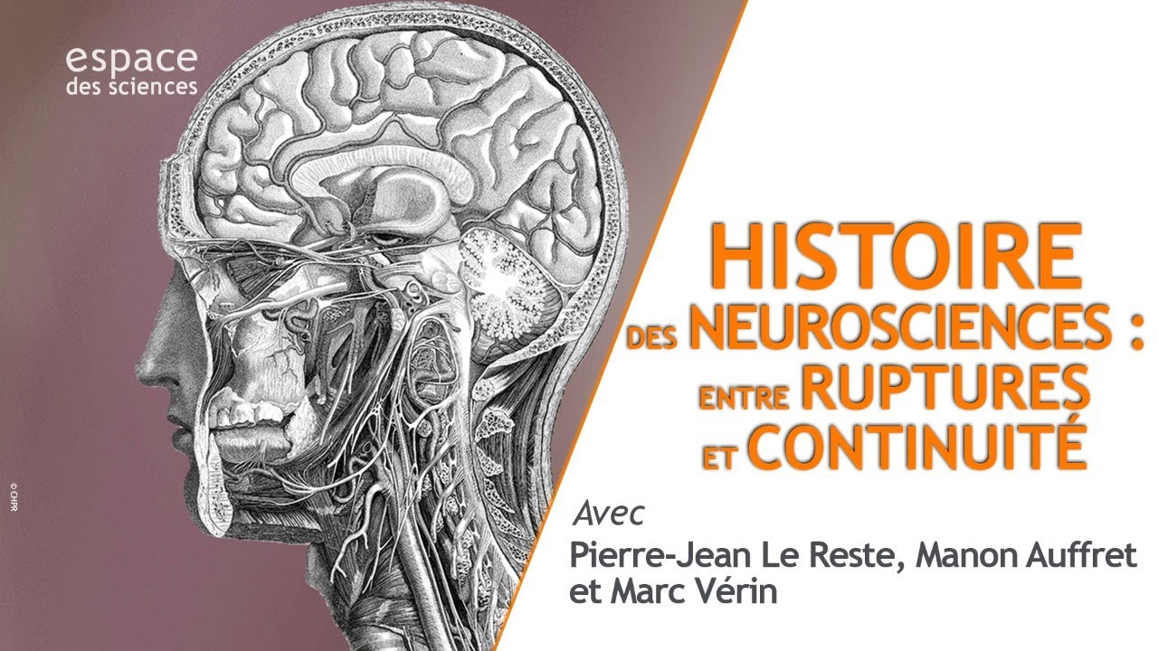 Histoire Des Neurosciences Entre Ruptures Et Continuit