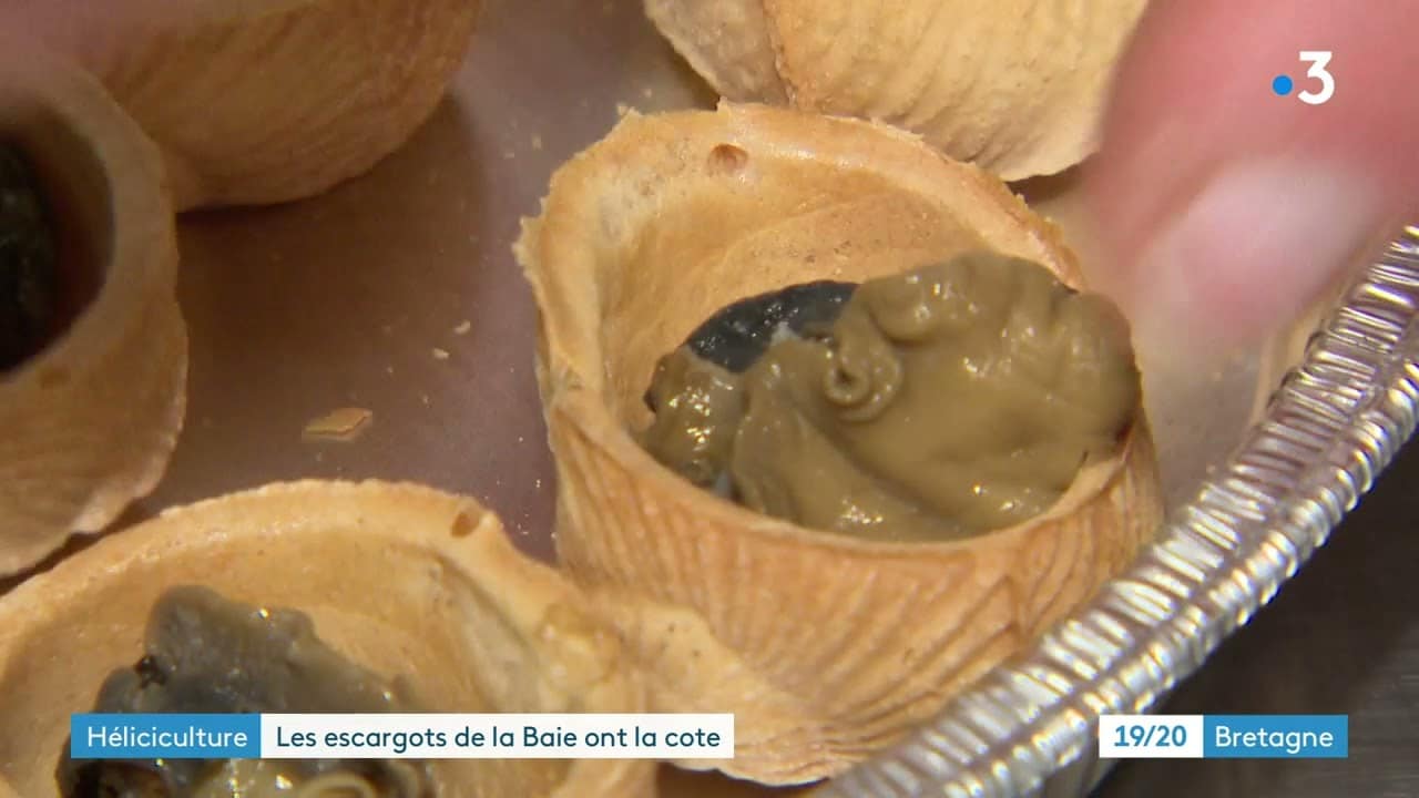 Saint-Broladre (35). Les escargots de la Baie ont la cote