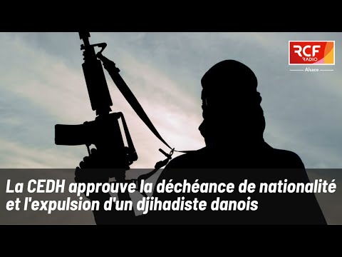 Islamisme et immigration. La CEDH valide l'expulsion d'un djihadiste du Danemark vers la Tunisie
