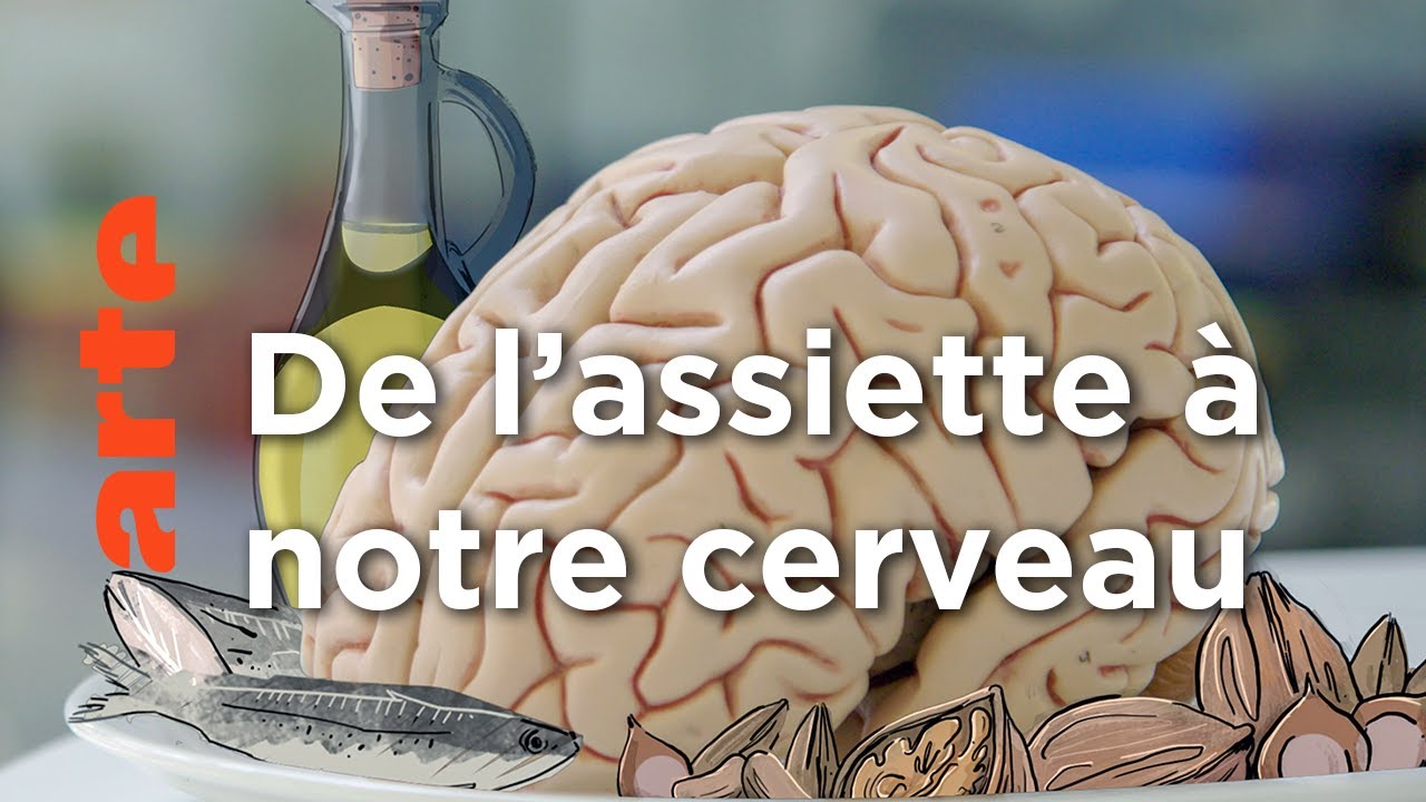 Alimentation. Bien nourrir son cerveau