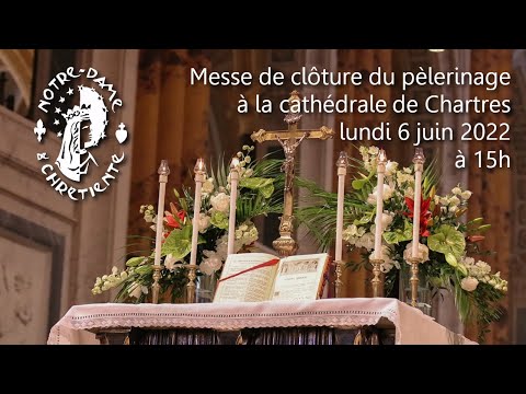 Retour sur le Pèlerinage de Chartres qui a réuni près de 15000 pèlerins