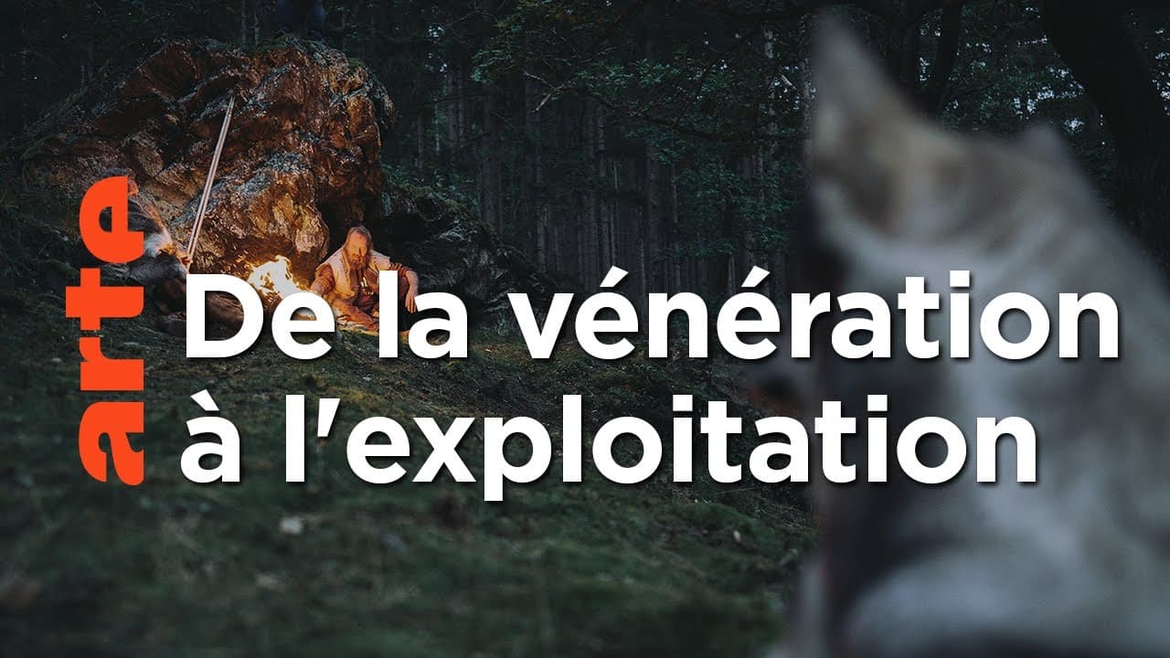 Reportage. Histoire de la domestication des animaux